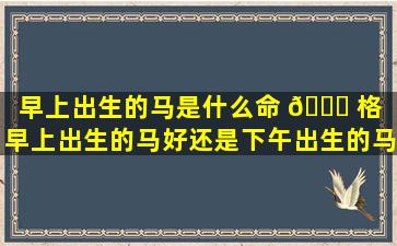 早上出生的马是什么命 🐋 格（早上出生的马好还是下午出生的马好）